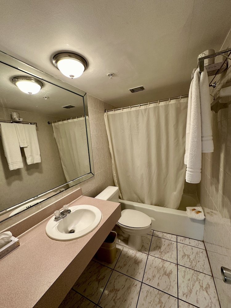 Basic Double Room - Photo 7