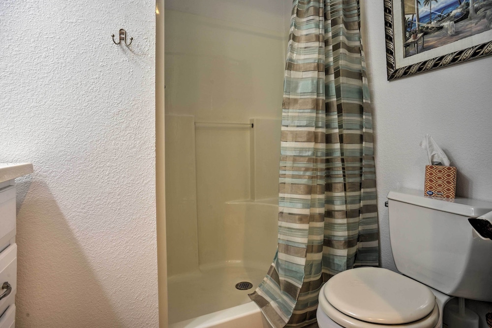 Apartment (1 Bedroom) photo 3