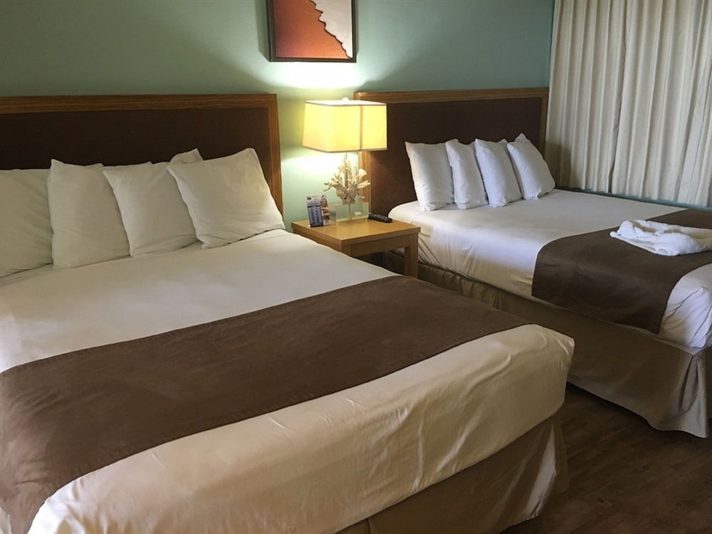 Standard Room, 2 Double Beds, Non Smoking photo 1