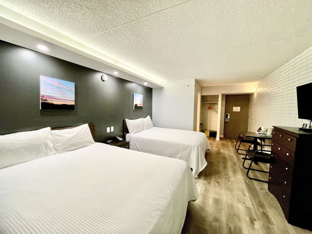 Suite, 2 Double Beds