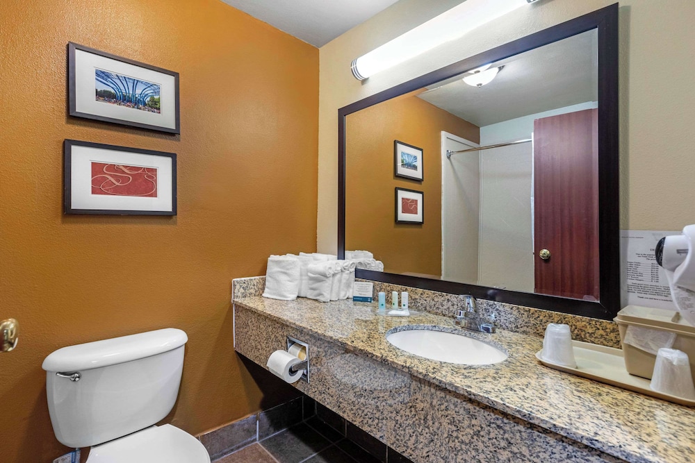 Studio Suite, 2 Queen Beds - Photo 6