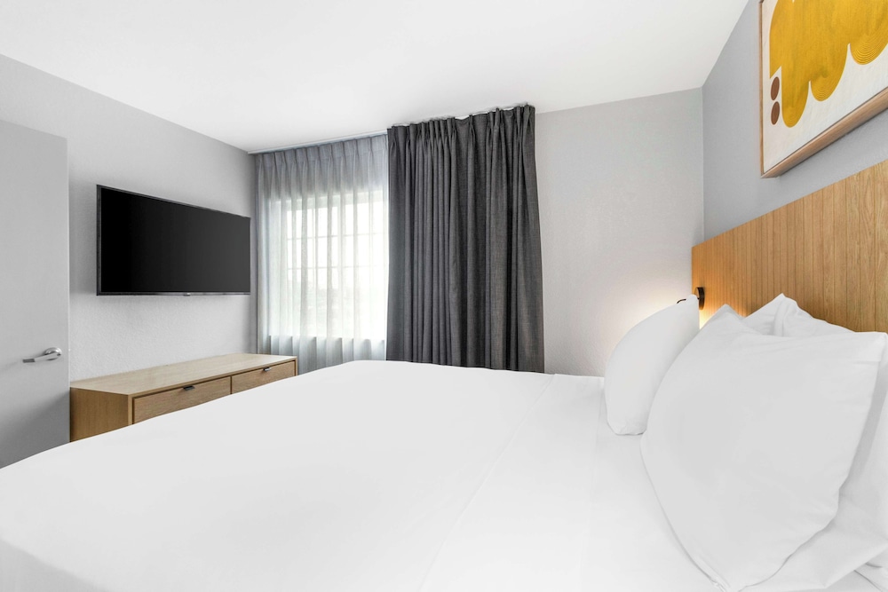 Suite, 1 King Bed (One Bedroom) - Photo 3