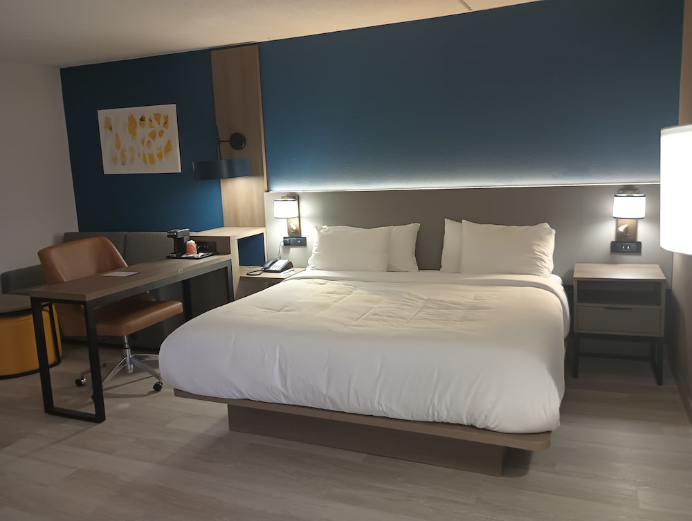 Suite, 1 King Bed, Non Smoking photo 3