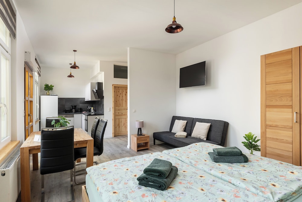 Superior Studio, 1 King Bed with Sofa bed, Patio, Courtyard View
