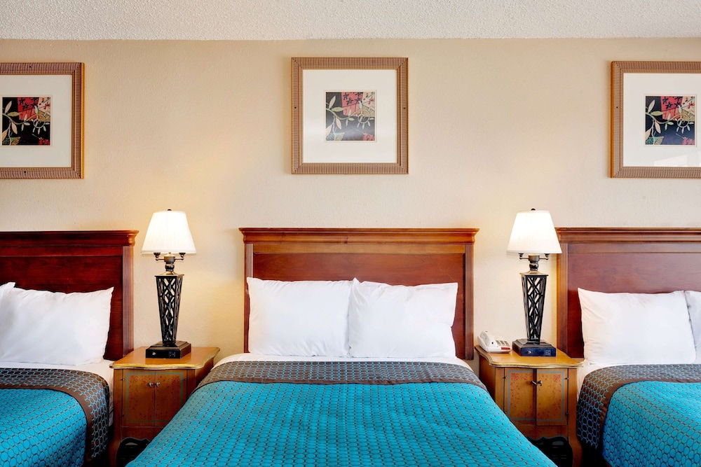 Studio Suite, Multiple Beds, Non Smoking - Photo 1