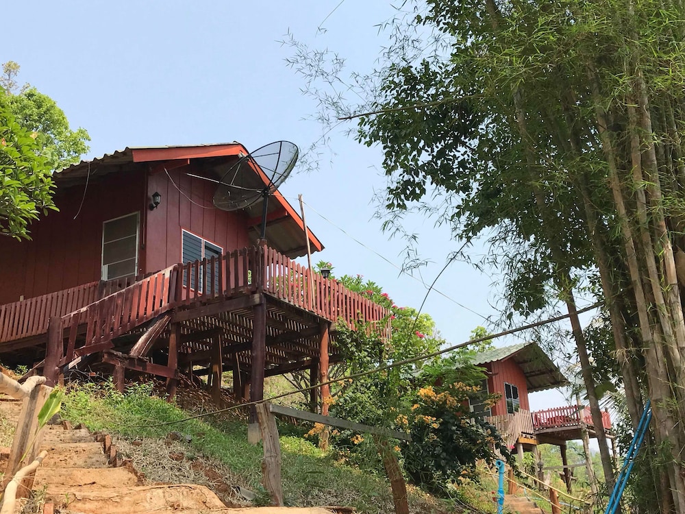 Forest Long Stay photo 3