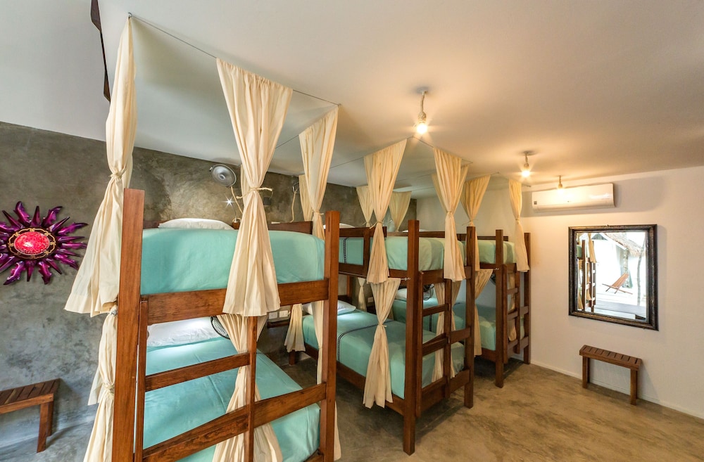 Comfort Shared Dormitory