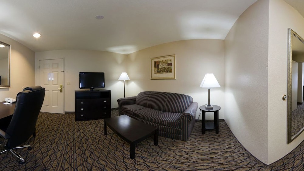 Suite, 1 King Bed with Sofa bed - Photo 1
