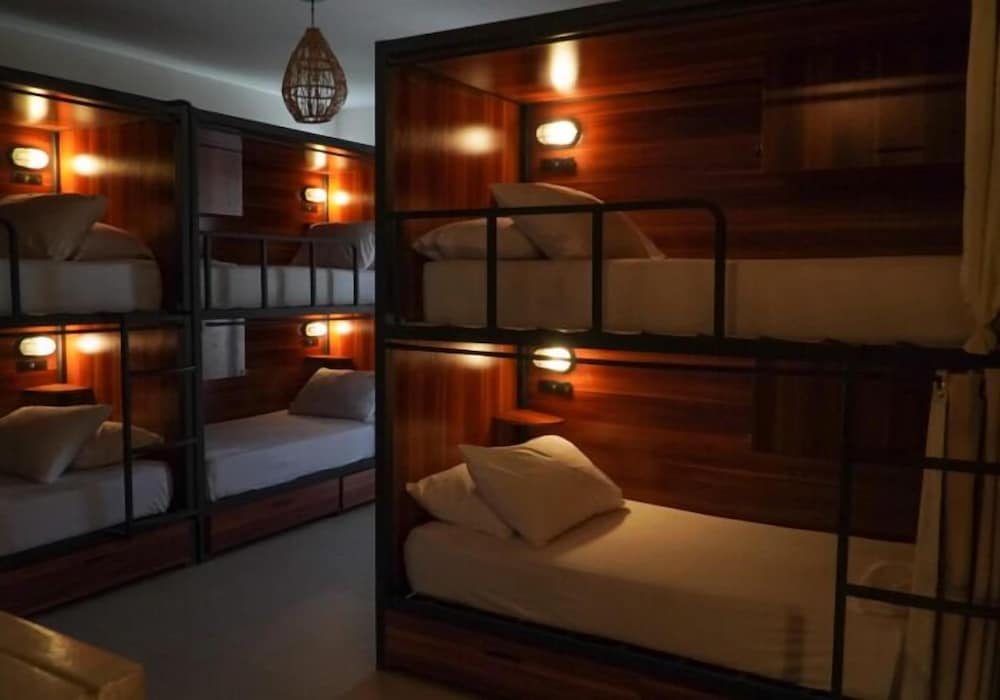 Standard Shared Dormitory, Women only photo 3
