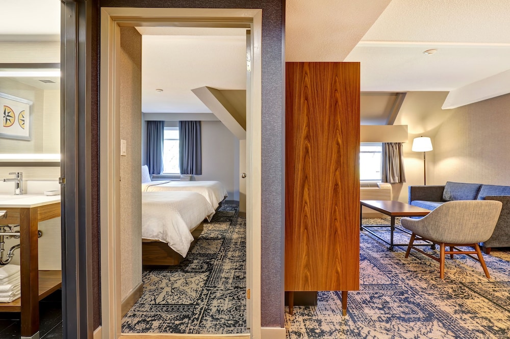 Suite, 1 Bedroom - Photo 1