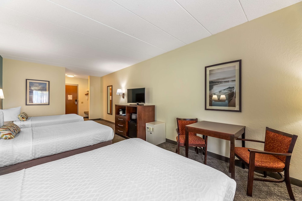Standard Room, Multiple Beds, Non Smoking, Refrigerator & Microwave - Photo 4