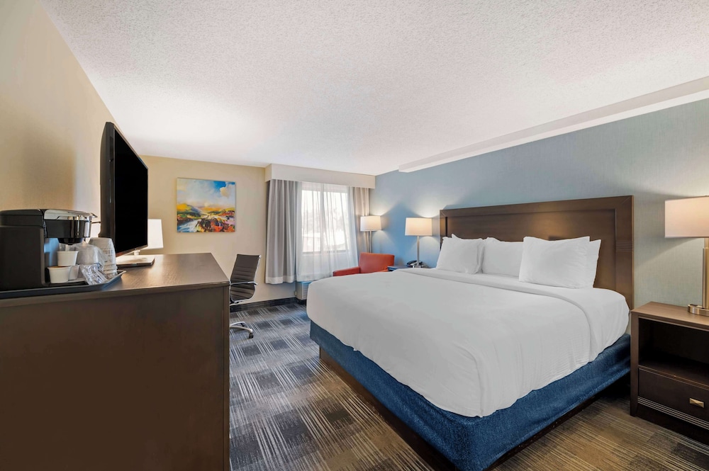 Standard Room, 1 King Bed, Accessible, Refrigerator & Microwave - Photo 6
