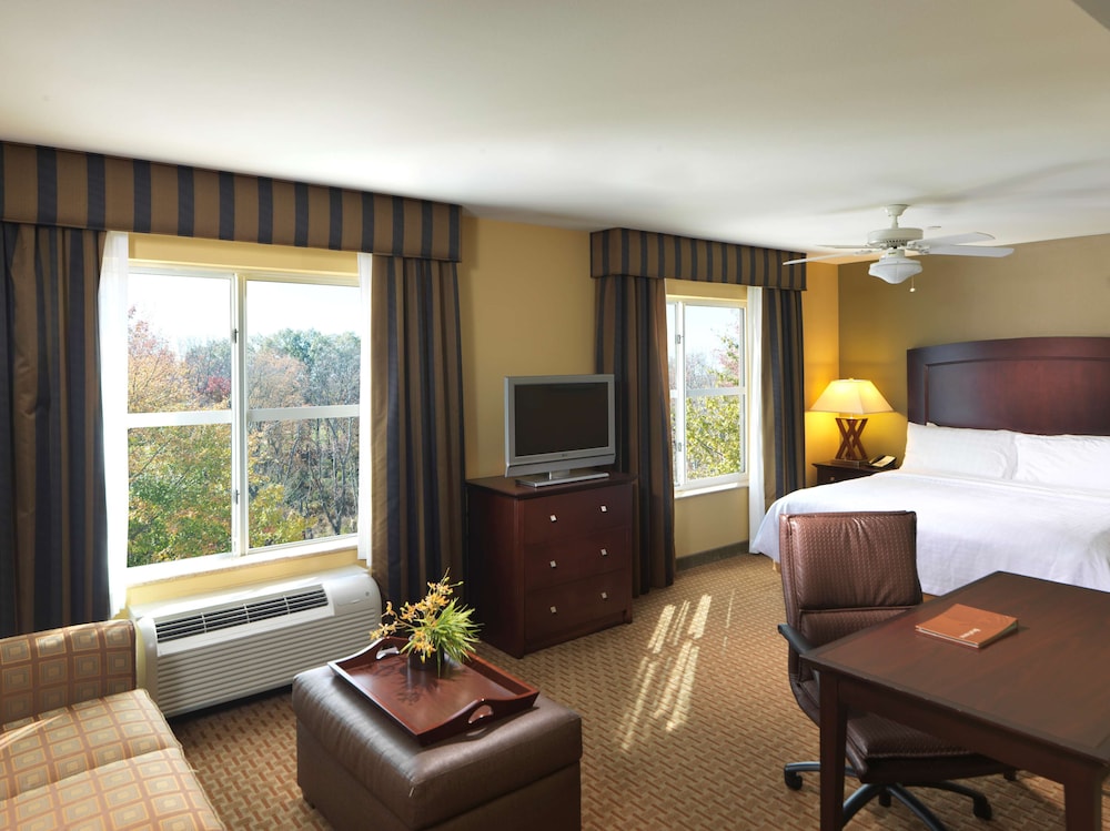 Studio Suite, 1 King Bed photo 3