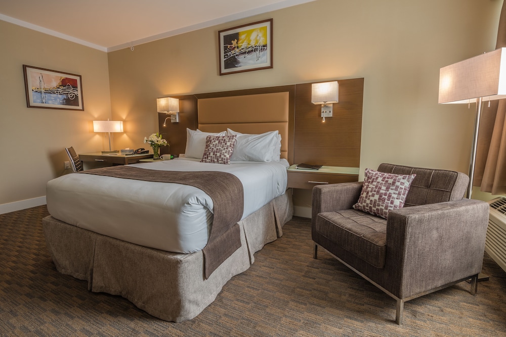 Single Room, 1 Queen Bed