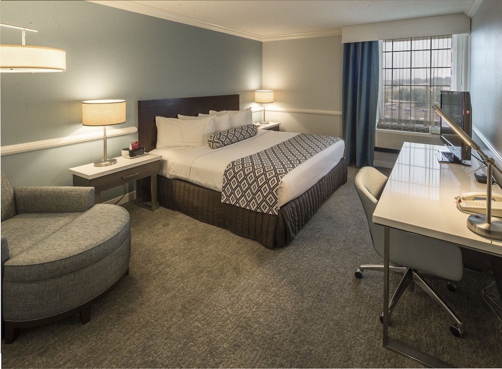 Suite, 1 Bedroom, Kitchen photo 2
