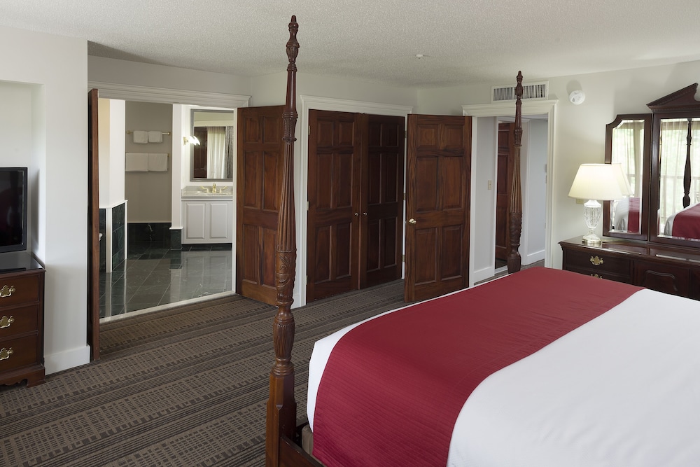 Deluxe Suite, 1 King Bed, Sofa Bed photo 1