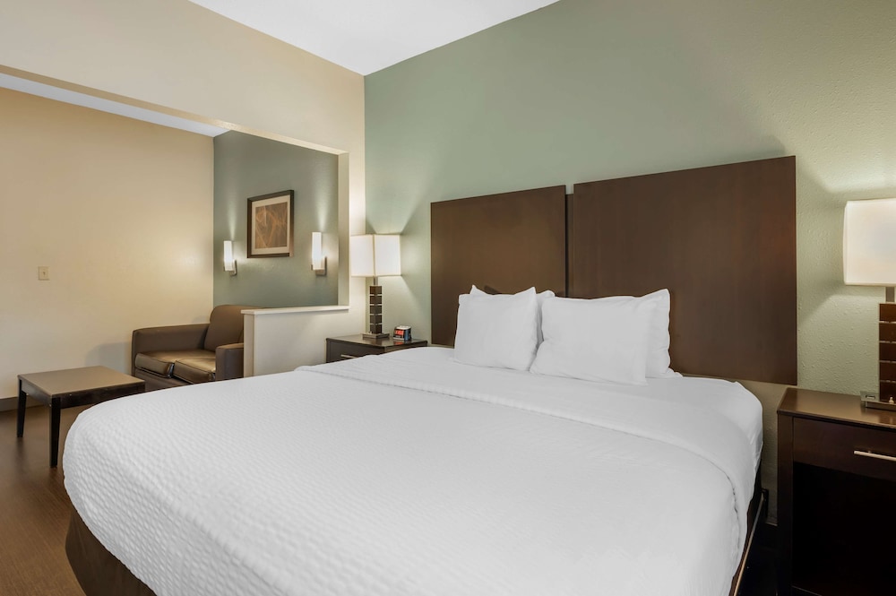 Suite, 1 King Bed, Non Smoking, Refrigerator & Microwave (with Sofabed) - Photo 4