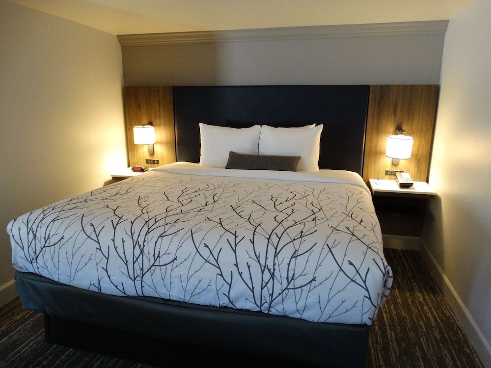 Suite, 1 King Bed, Non Smoking, Balcony (with Sofabed) - Photo 1