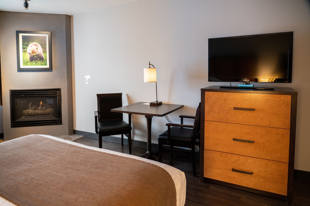 Superior Room 2 Queen Beds plus sofabed photo 2