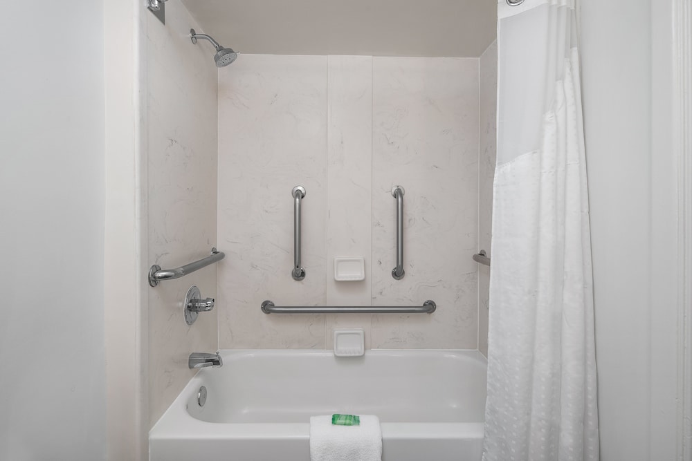 Standard Room, 1 King Bed, Accessible (Communications, Accessible Tub) - Photo 6