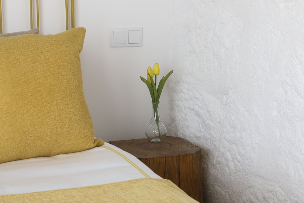 Traditional Double Room, Vineyard View photo 3