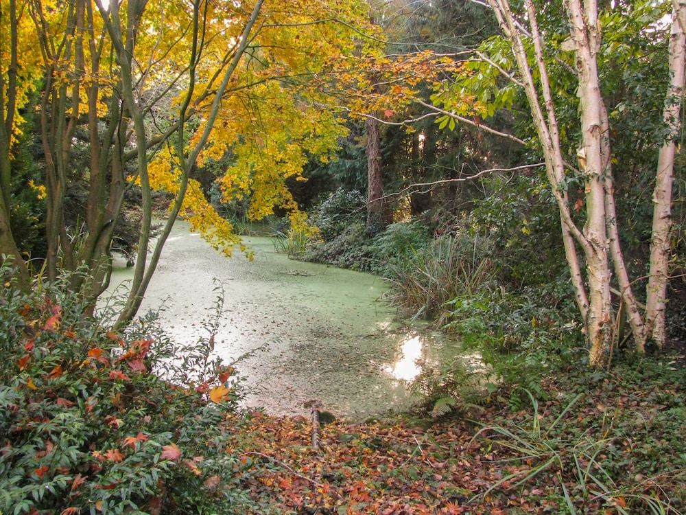 Cottage photo 3