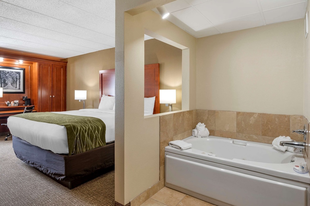 Standard Room, 1 King Bed, Non Smoking, Hot Tub photo 1