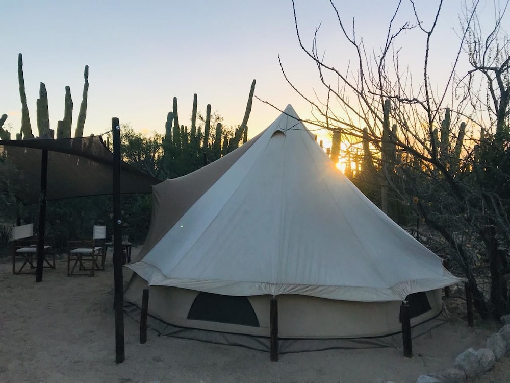 Deluxe Tent, 1 Queen Bed photo 2