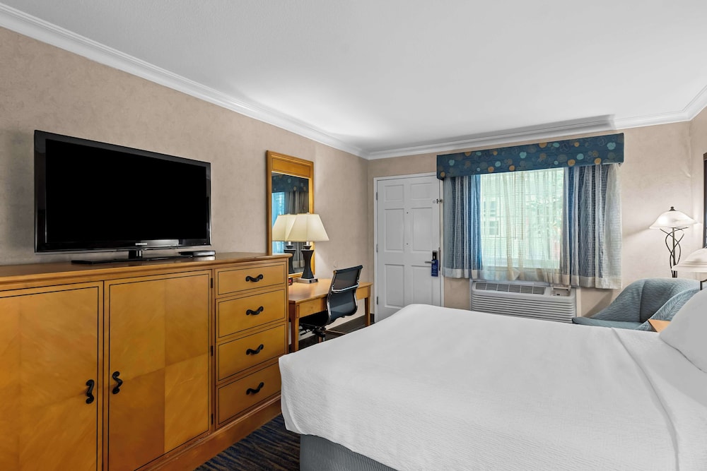 Standard Room, 1 Queen Bed, Accessible, Non Smoking photo 3