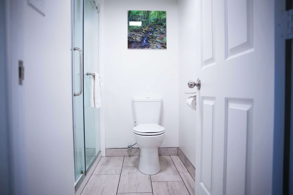 Standard Room, 1 King Bed, Non Smoking, Refrigerator & Microwave (Walk-in Shower;Theme Room)