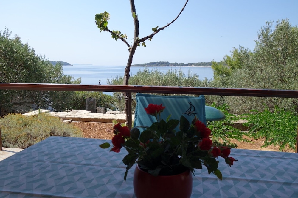 Apartment (Nev - 20m from the sea - A2 Mali(2+1)) photo 1