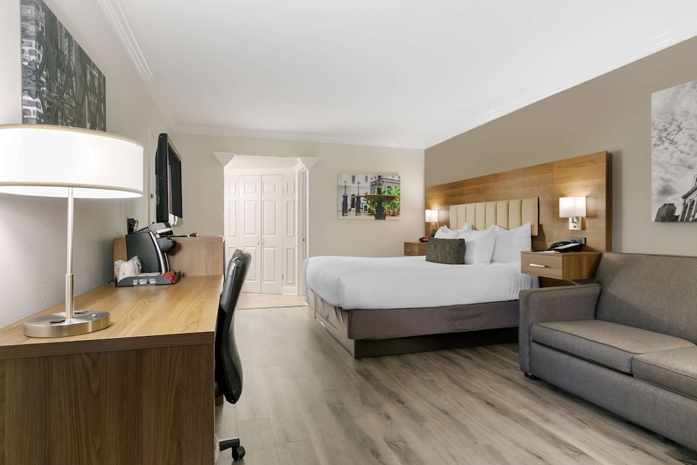 Standard Room, 1 King Bed, Non Smoking, Refrigerator & Microwave (with Sofabed) - Photo 1