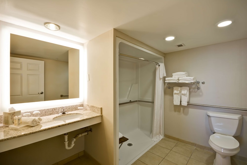 Suite, 2 Double Beds (Roll-in Shower) - Photo 5
