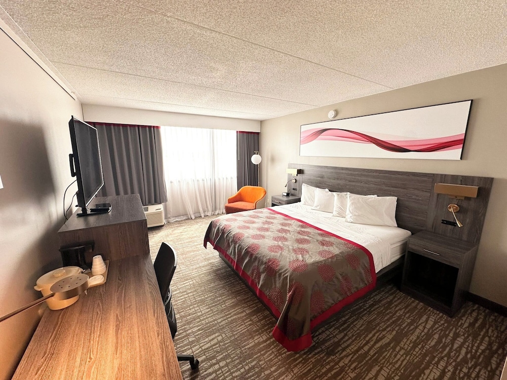 Exclusive Room, 1 Double Bed photo 3