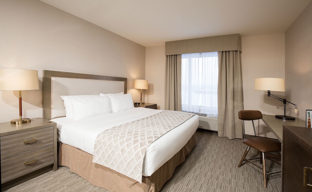 Suite, 1 King Bed, Non Smoking photo 1