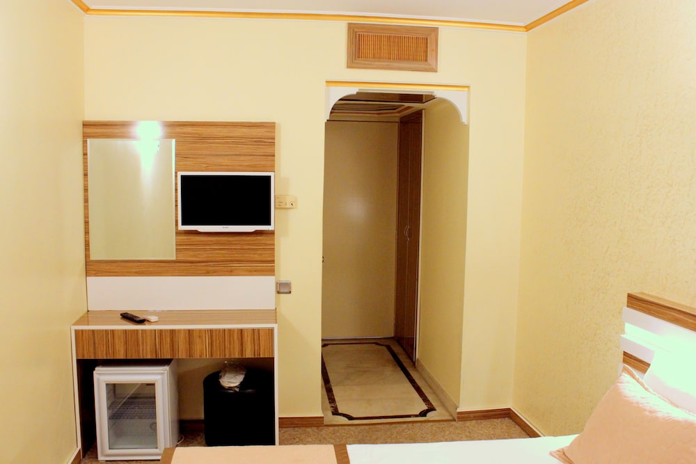 Deluxe Double or Twin Room photo 2