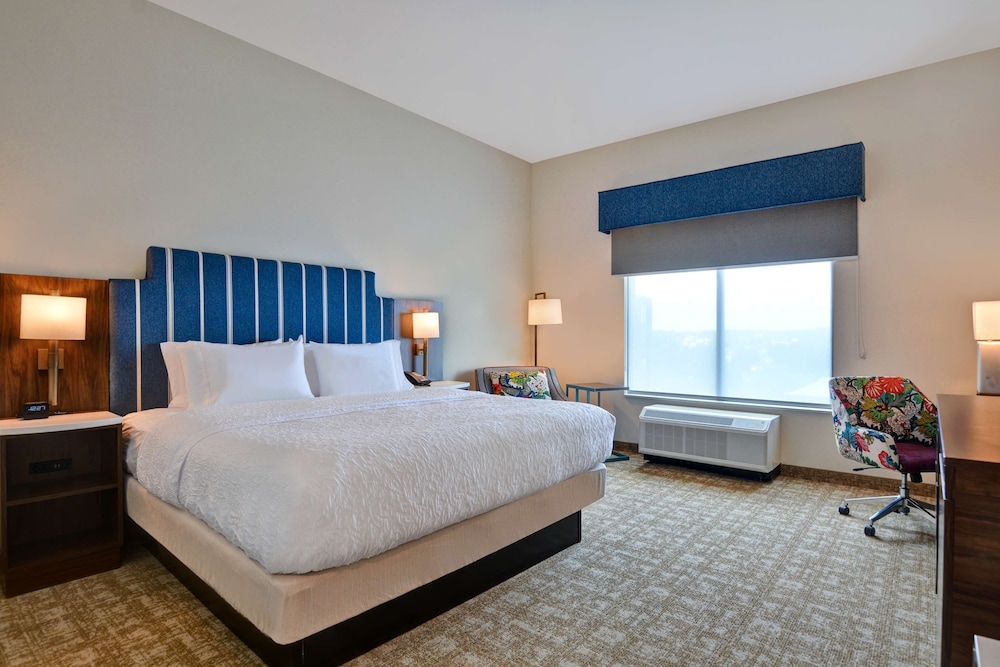 ADA Accessible, Room, 1 King Bed, Accessible, Bathtub (Mobility & Hearing) - Photo 1