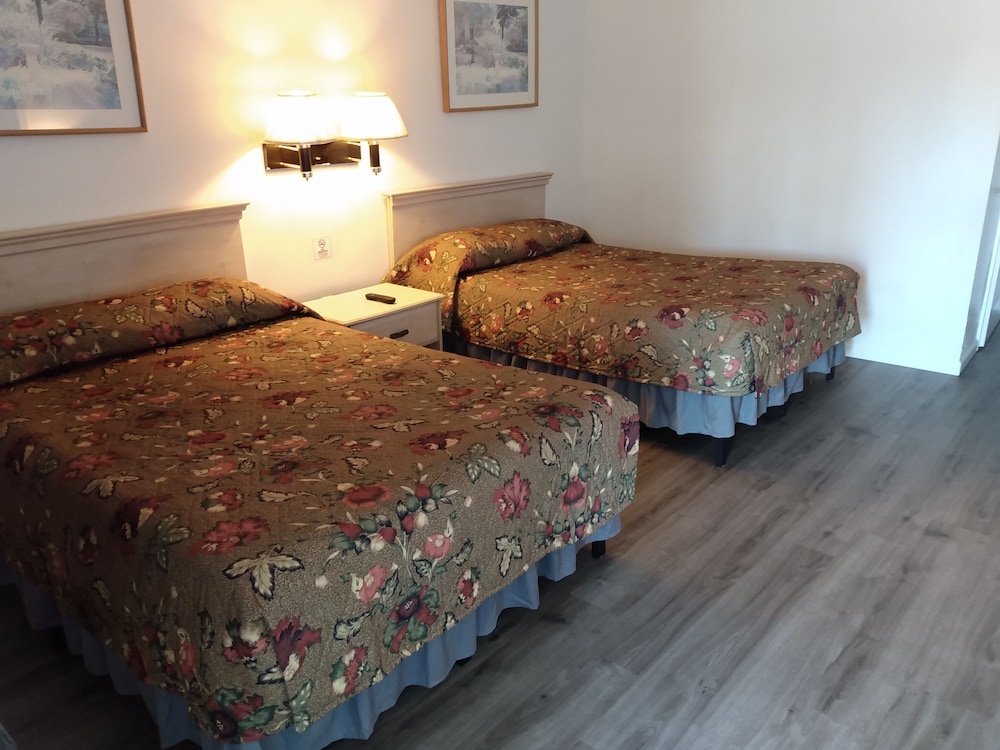 Standard Double Room - Photo 3