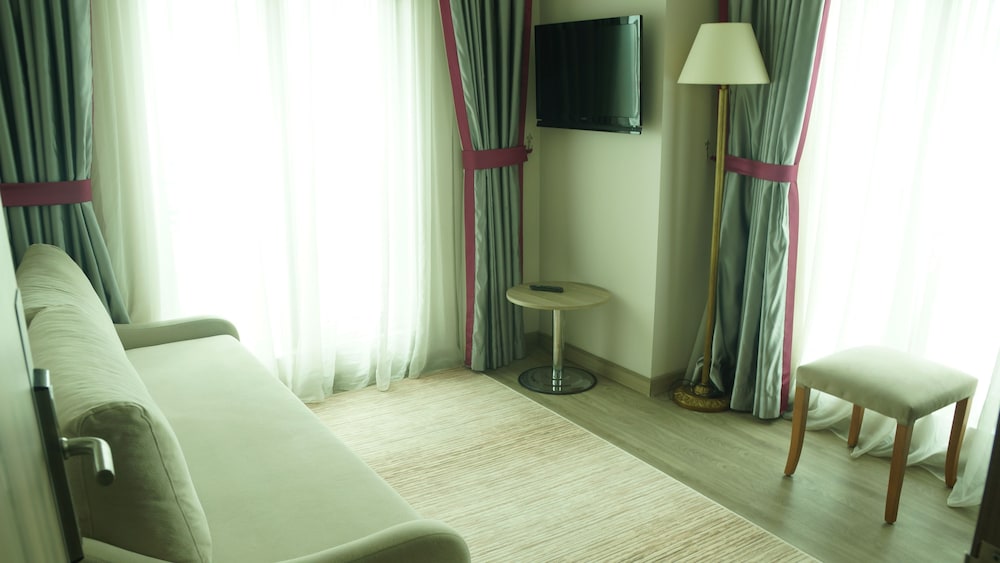 Basic Suite, 1 Double Bed with Sofa bed photo 3