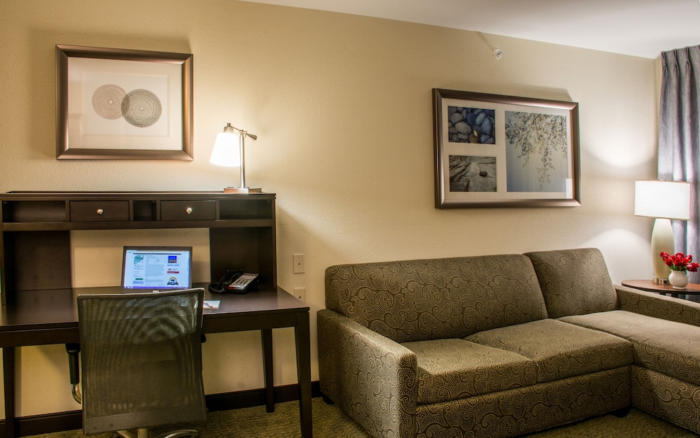 Studio Suite, 1 King Bed, Kitchen photo 1