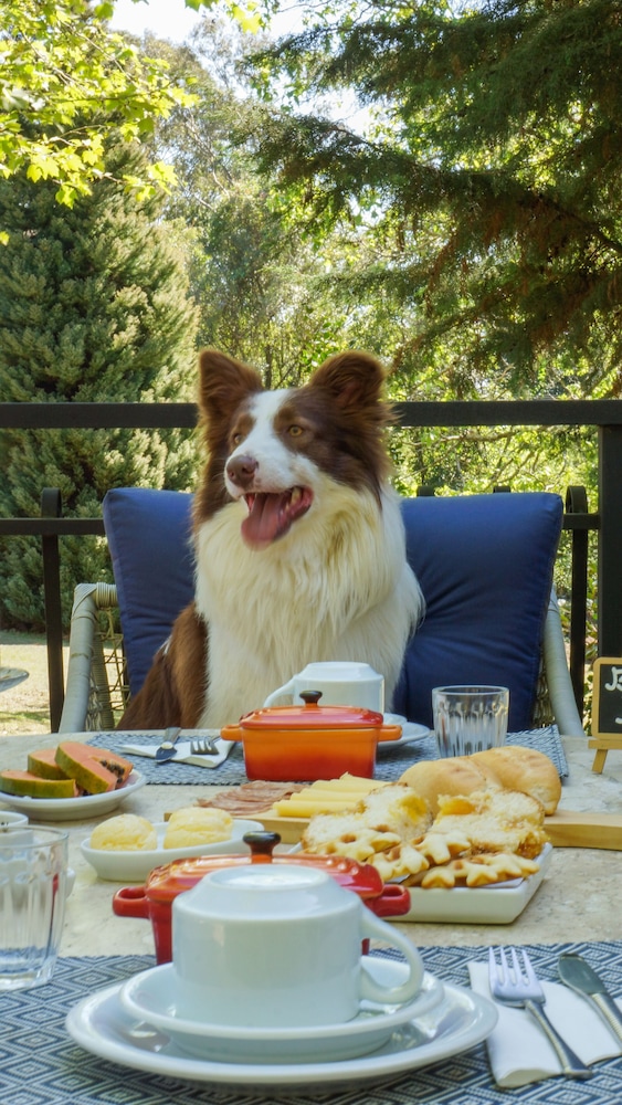 Chalé Toscana - Pet Friendly photo 2
