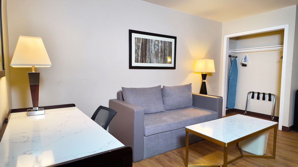Basic Studio Suite photo 2