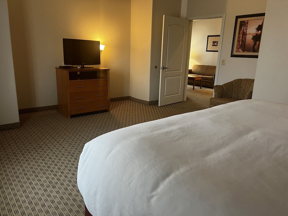 Deluxe Suite, 1 King Bed, Accessible, Non Smoking (Tub with Grab Bars) - Photo 9
