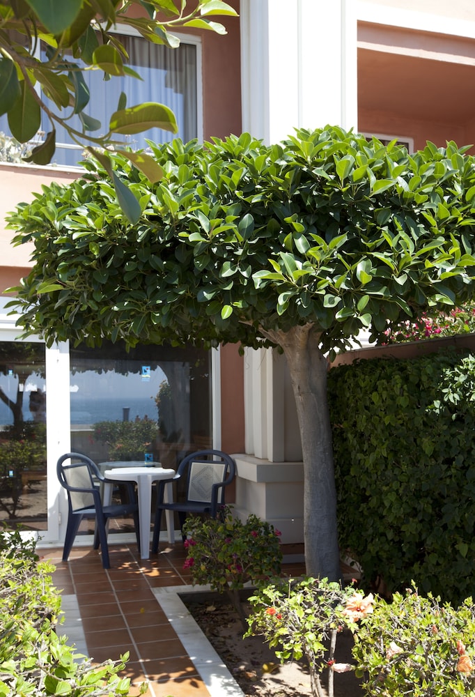 Suite (Playa) - Photo 9