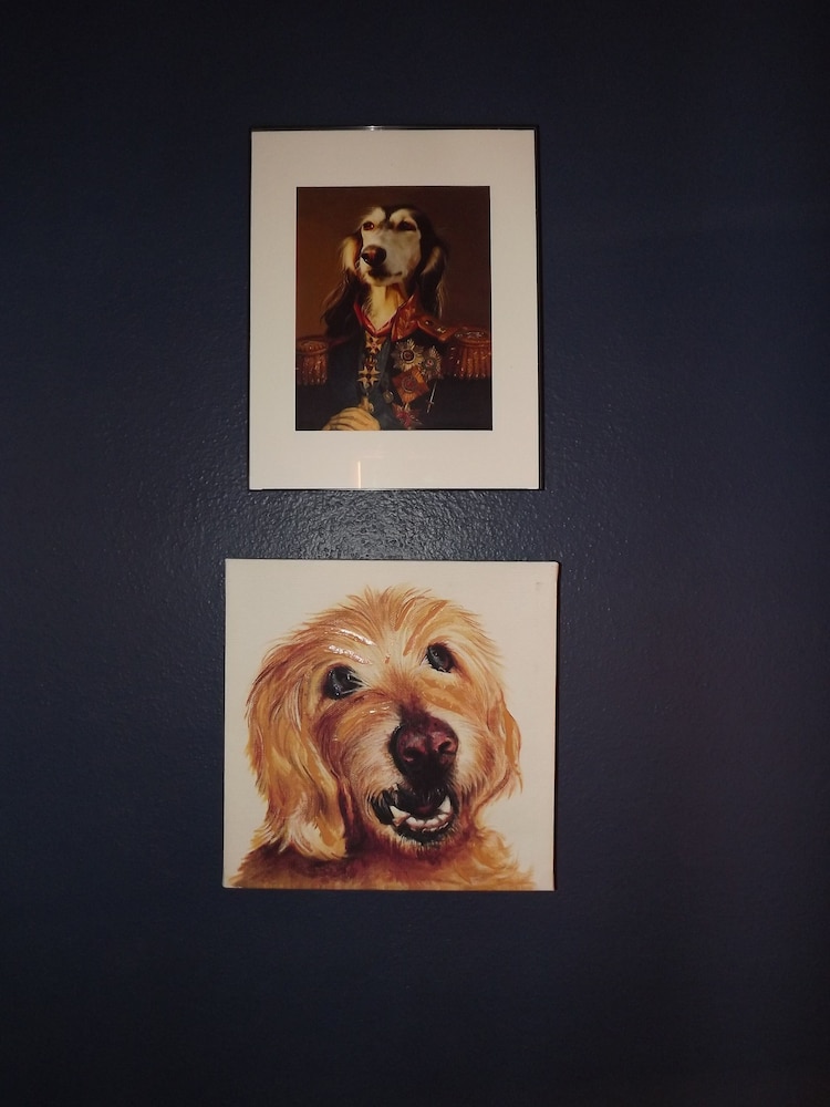 2 Queen Beds,  (K9 Friendly), Hill View, Ground Floor photo 2