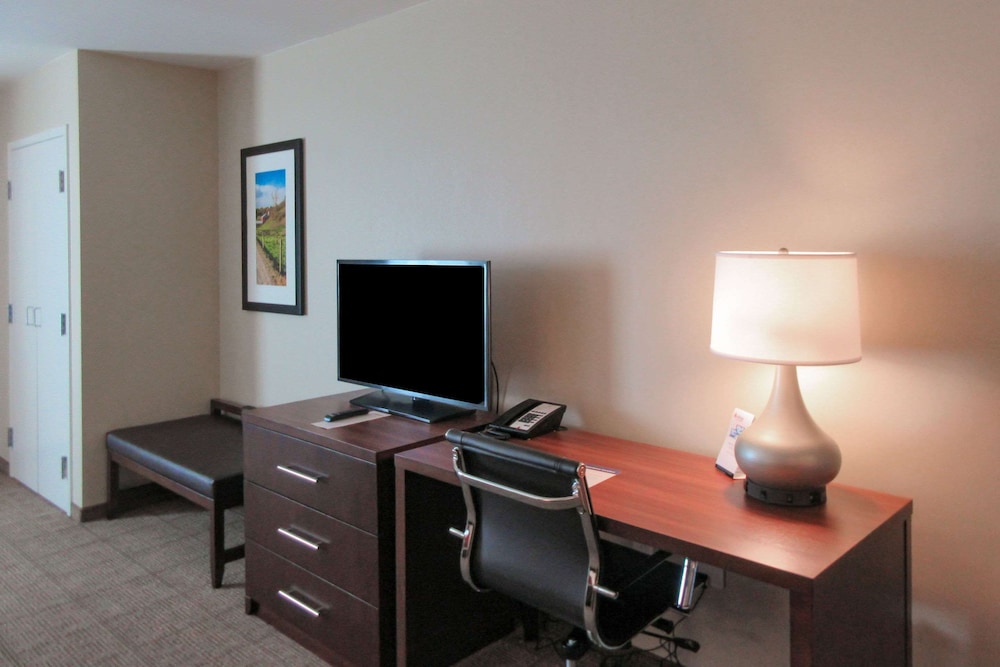 Suite, 1 King Bed, Non Smoking - Photo 4