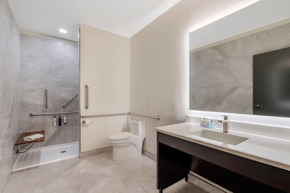 Room, 1 King Bed, Roll-in Shower, Non Smoking (Balcony) photo 3