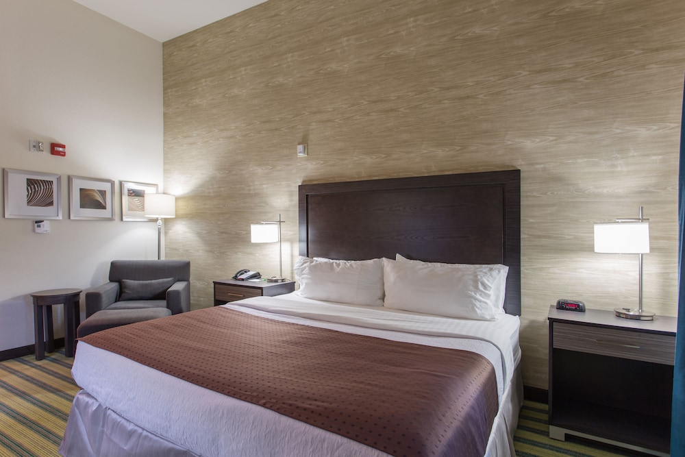 Standard Room, 1 King Bed, Non Smoking photo 2