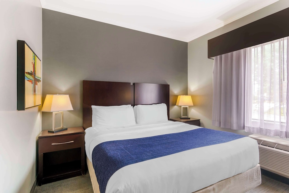 Standard Room, 1 King Bed, Accessible, Refrigerator & Microwave (Living Room) - Photo 3