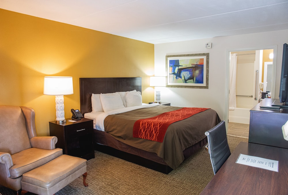 Classic Room, 1 King Bed photo 1